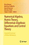Numerical Algebra, Matrix Theory, Differential-Algebraic Equations and Control Theory