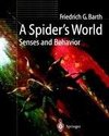 A Spider's World