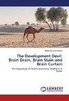 The Development Devil: Brain Drain, Brain Stain and Brain Curtain