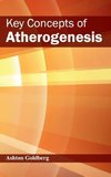 Key Concepts of Atherogenesis