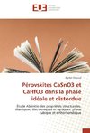 Pérovskites CaSnO3 et CaHfO3 dans la phase idéale et distordue