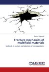 Fracture mechanics of multifield materials