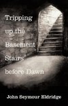Tripping up the Basement Stairs before Dawn