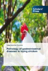 Pathology of gastrointestinal diseases in laying chicken