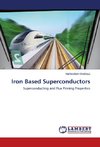 Iron Based Superconductors