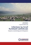 Infections by Small Ruminant Lentiviruses