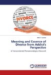 Meaning and Essence of Divorce from Addict's Perspective