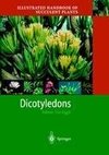 Illustrated Handbook of Succulent Plants: Dicotyledons