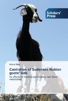 Castration of Sudanese Nubian goats' kids