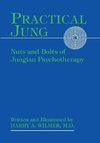 Practical Jung