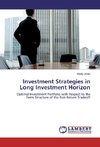 Investment Strategies in Long Investment Horizon