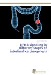NF¿B signaling in different stages of intestinal carcinogenesis