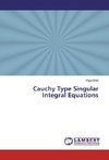 Cauchy Type Singular Integral Equations