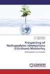 Prospecting of Nothapodytes nimmoniana (J.Graham) Mabberley