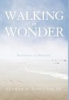 Walking in Wonder