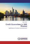 Credit Guarantees in SME Finance