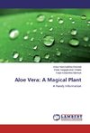Aloe Vera: A Magical Plant