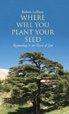 Where Will You Plant Your Seed