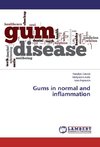 Gums in normal and inflammation