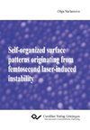 Self-organized surface patterns originating from femtosecond laser-induced instability