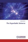 The Hyperbolic Universe
