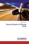 Fuzzy Analysis of Driving Crisis