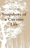 Snapshots of a Curious Life