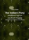 The Indian's Pony