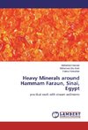 Heavy Minerals around Hammam Faraun, Sinai, Egypt