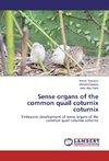 Sense organs of the common quail coturnix coturnix