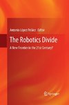 The Robotics Divide