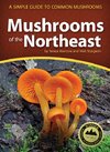 Mushrooms of the Northeast: A Simple Guide to Common Mushrooms