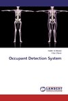 Occupant Detection System