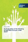 An Evaluation of the Working of Self Help Groups under SGSY