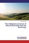 The Indigenous Grasses: A New Sustainable Tool for Bioenergy