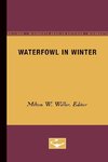 Waterfowl in Winter