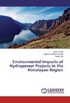 Environmental Impacts of Hydropower Projects in the Himalayan Region