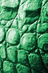 Alive! crocodile skin - Emerald duotone - Photo art notebooks (6 x 9 series)