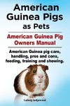 American Guinea Pigs as Pets. American Guinea Pig Owners Manual. American Guinea pig care, handling, pros and cons, feeding, training and showing.