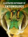 Illustrated Dictionary of Entomology