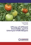 Efficacy of different insecticides against Liriomyza trifolii Burgess