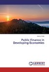 Public Finance in Developing Economies