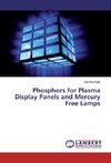 Phosphors for Plasma Display Panels and Mercury Free Lamps