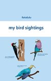 my bird sightings