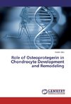 Role of Osteoprotegerin in Chondrocyte Development and Remodeling