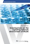 Investigations on the signaling network downstream of MuSK