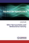 Silver Nanoparticles and Antibacterial Activity