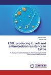 ESBL producing E. coli and antimicrobial resistance in Cattle