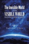 The Invisible World and the Visible World