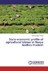 Socio-economic profile of agricultural labour in Navya Andhra Pradesh